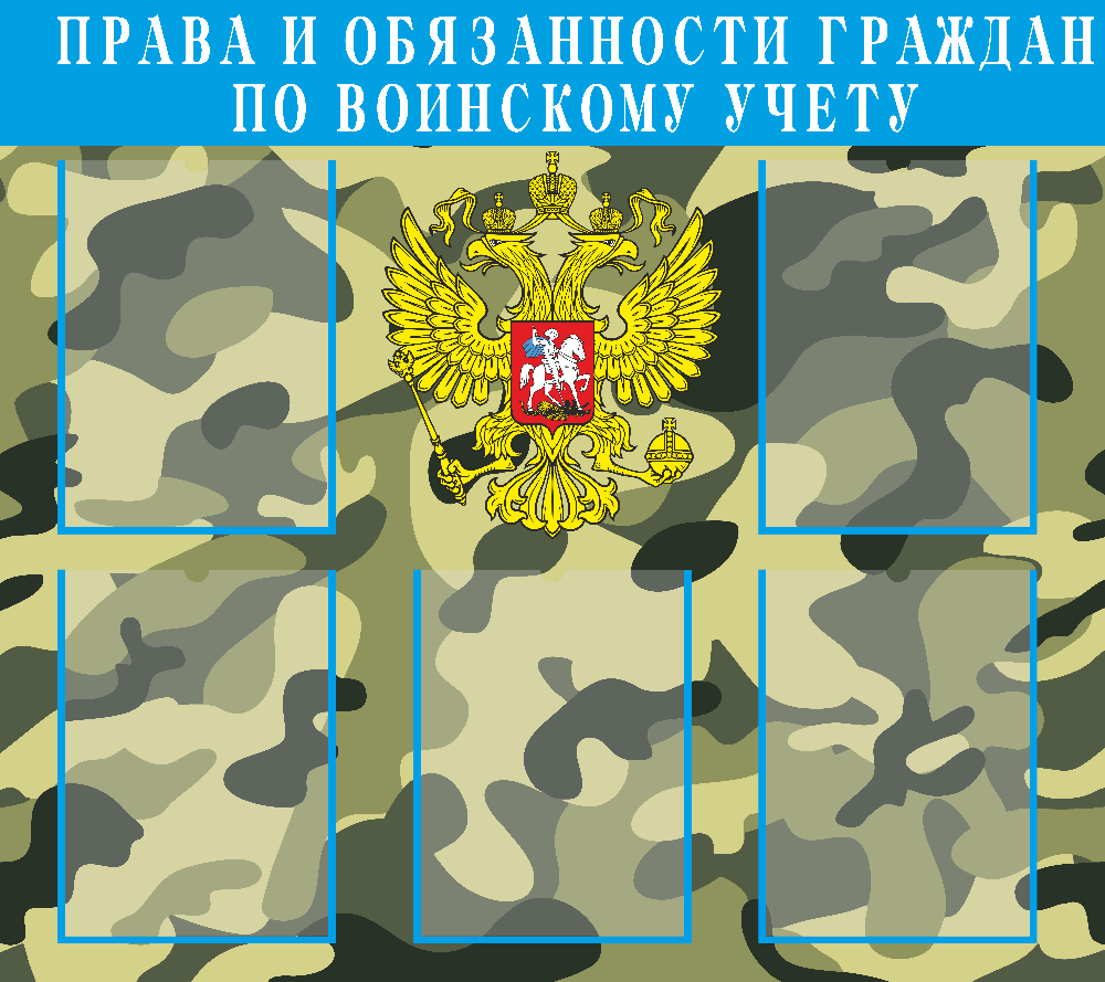 Начальная военная подготовка
